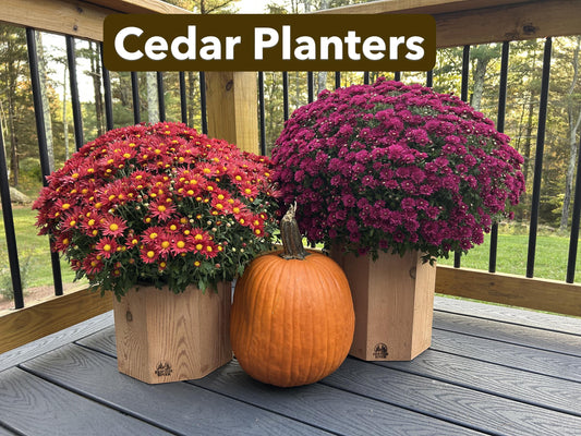 Cedar Planter, Indoor Outdoor Pot for plants, Rustic Porch or cedar box, poinsettia